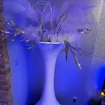 La Terrasse Des Spas - Restaurant - Institut Massage Hazebrouck
