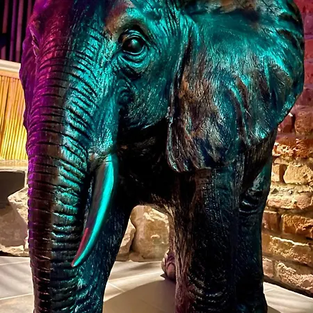 מלון La Terrasse Des Spas - Restaurant - Institut Massage